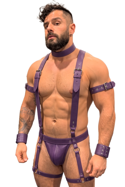 Mysteryglove Purple PU Leather Full Harness Set, X-Back Suspenders + Collar + Wrist Cuffs + Thigh Straps