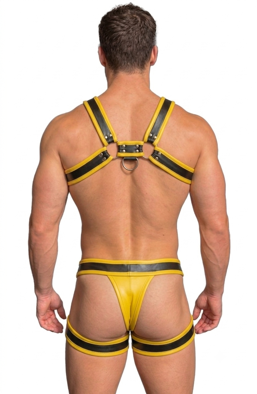 Mysteryglove Yellow & Black Harness Set — Chest Harness + Pouch Brief with Leg Straps