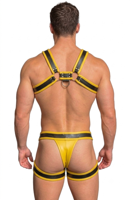 Mysteryglove Yellow & Black Harness Set — Chest Harness + Pouch Brief with Leg Straps