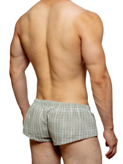 Low Rise Sexy Plaid Home Boxer Briefs