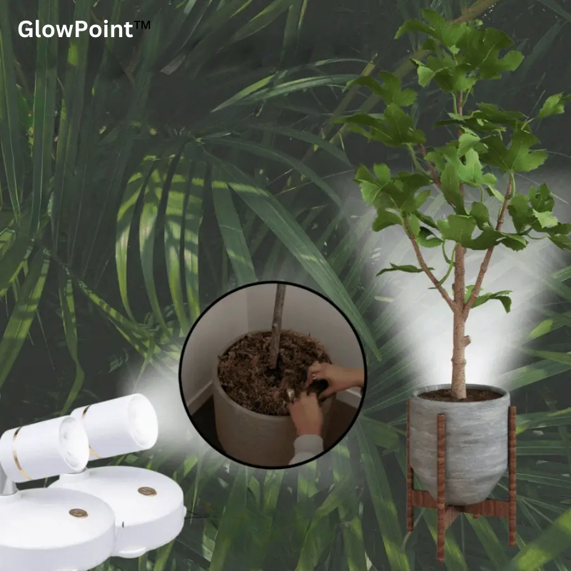 Portable Night Brightness
