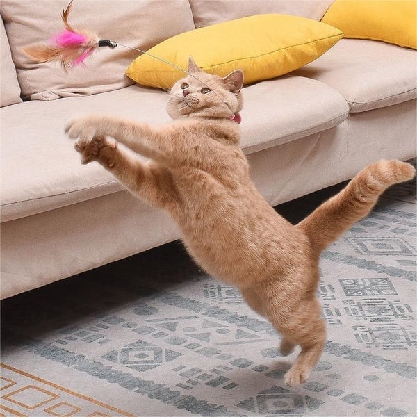 🔥Free hands collar cat teaser stick😻