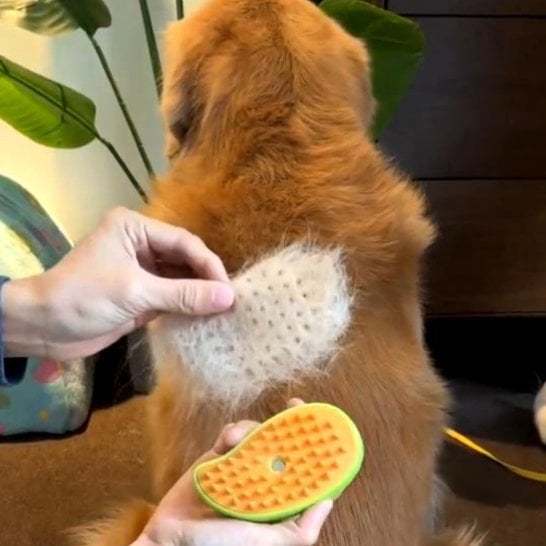 Steamy Pet Brush