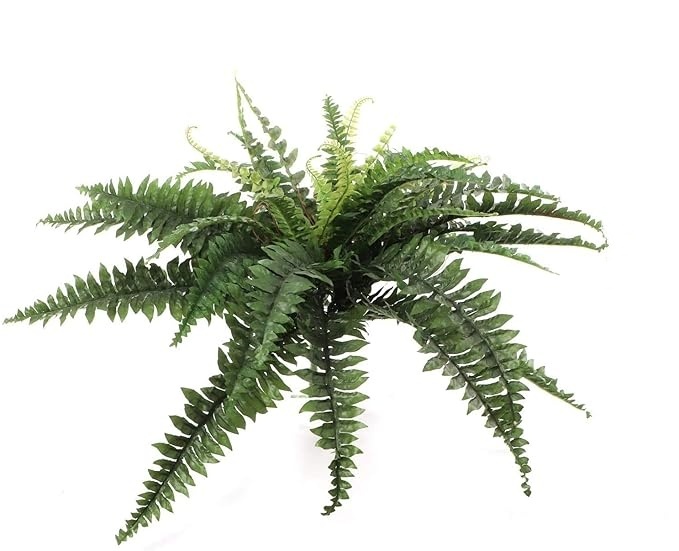 💥This Week's Special Price $19.99🌱UV Resistant Lifelike Artificial Boston Fern-3