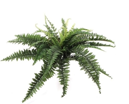 💥This Week's Special Price $19.99🌱UV Resistant Lifelike Artificial Boston Fern-3