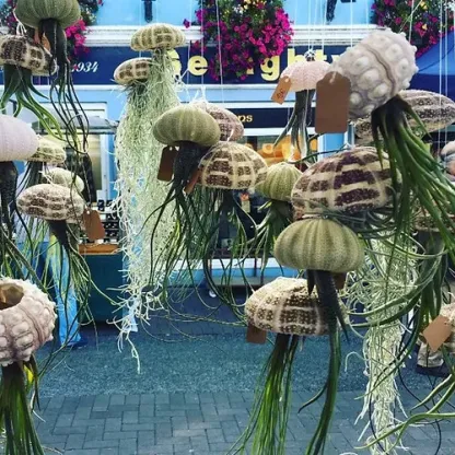 💖New Year Hot Sale 49% OFF🔥Hanging Air Plant Jellyfish🌱