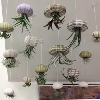 💖New Year Hot Sale 49% OFF🔥Hanging Air Plant Jellyfish🌱