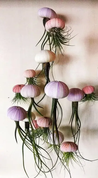💖New Year Hot Sale 49% OFF🔥Hanging Air Plant Jellyfish🌱