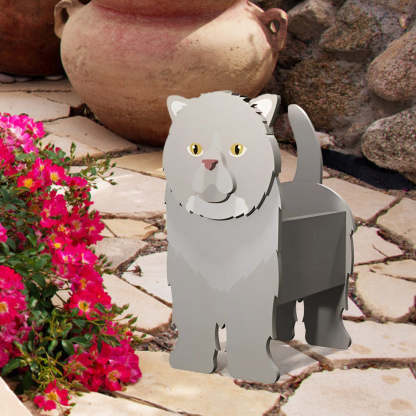 Exotic Shorthair Planter