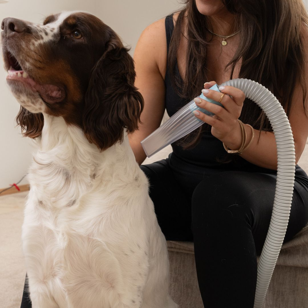 Essential 5-in-1 Pet Grooming Kit