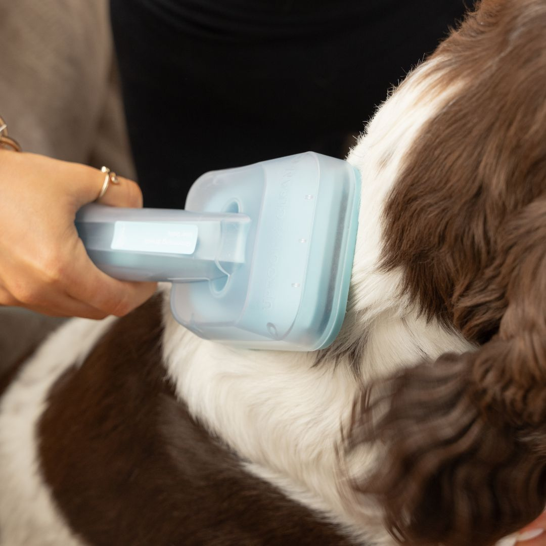 Essential 5-in-1 Pet Grooming Kit
