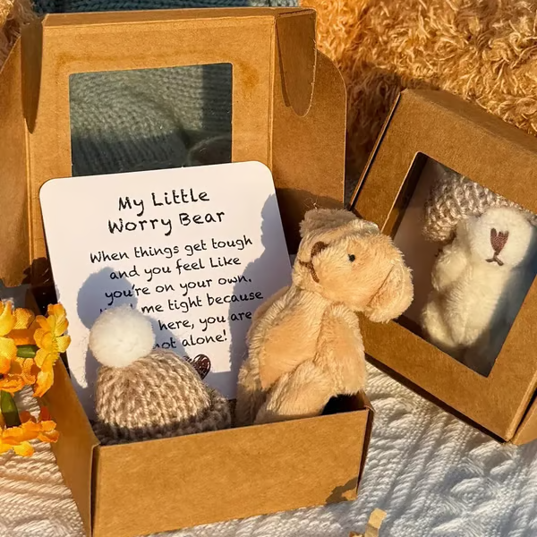 🎁Handmade Mini Plush Teddy Bear in Box🎉