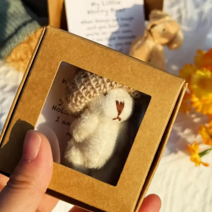 🎁Handmade Mini Plush Teddy Bear in Box🎉