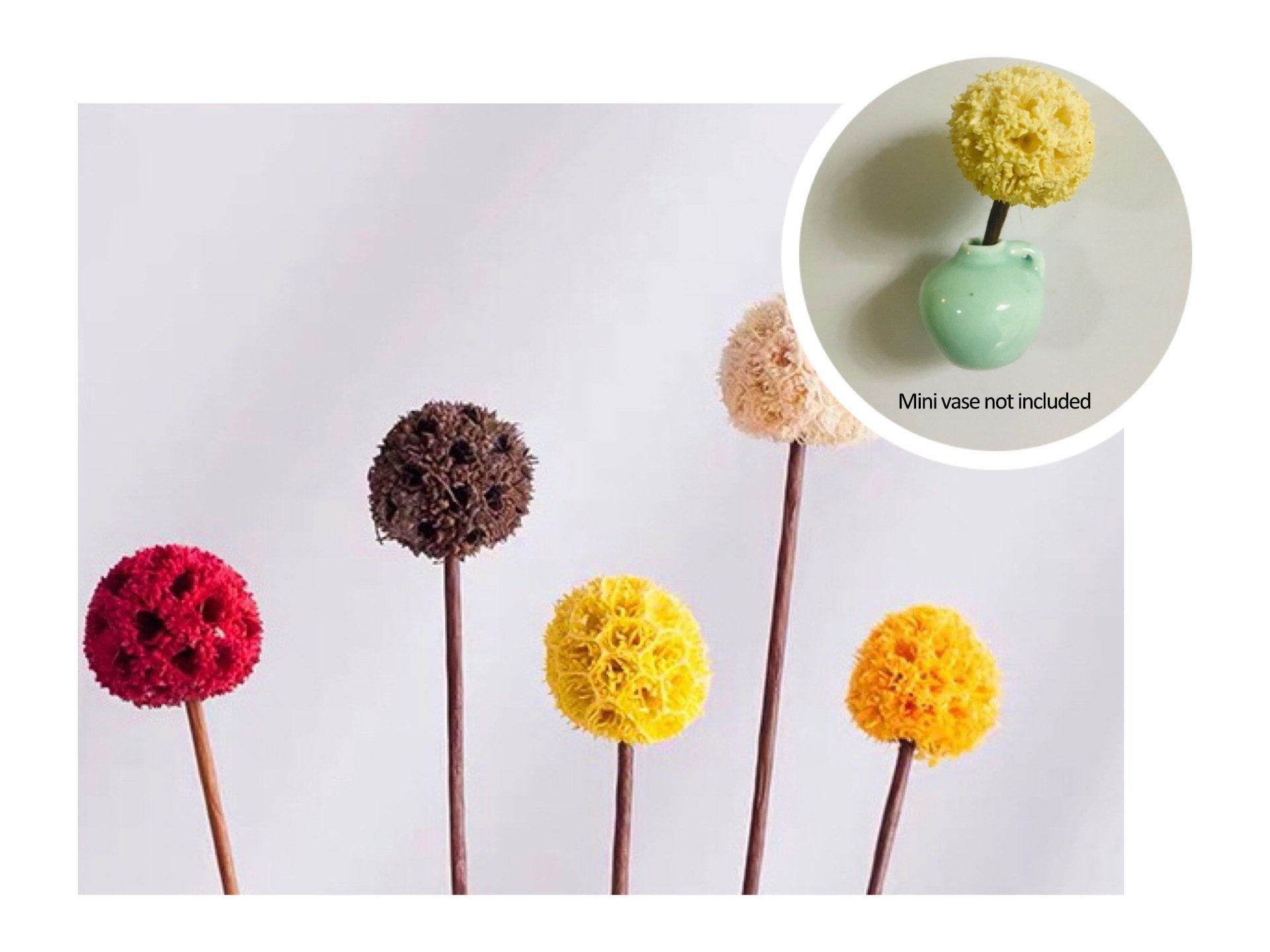 YEAR-END Promotion - 🔥Mini Ceramics Vase Fridge Magnet