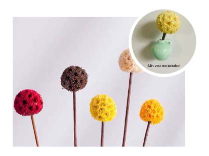 YEAR-END Promotion - 🔥Mini Ceramics Vase Fridge Magnet