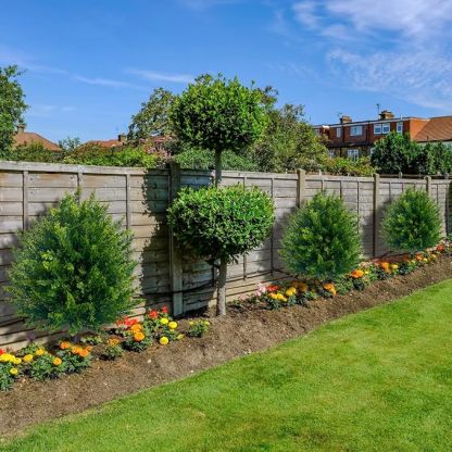 💥-UV Resistant Artificial Cedar Topiary Ball Tree