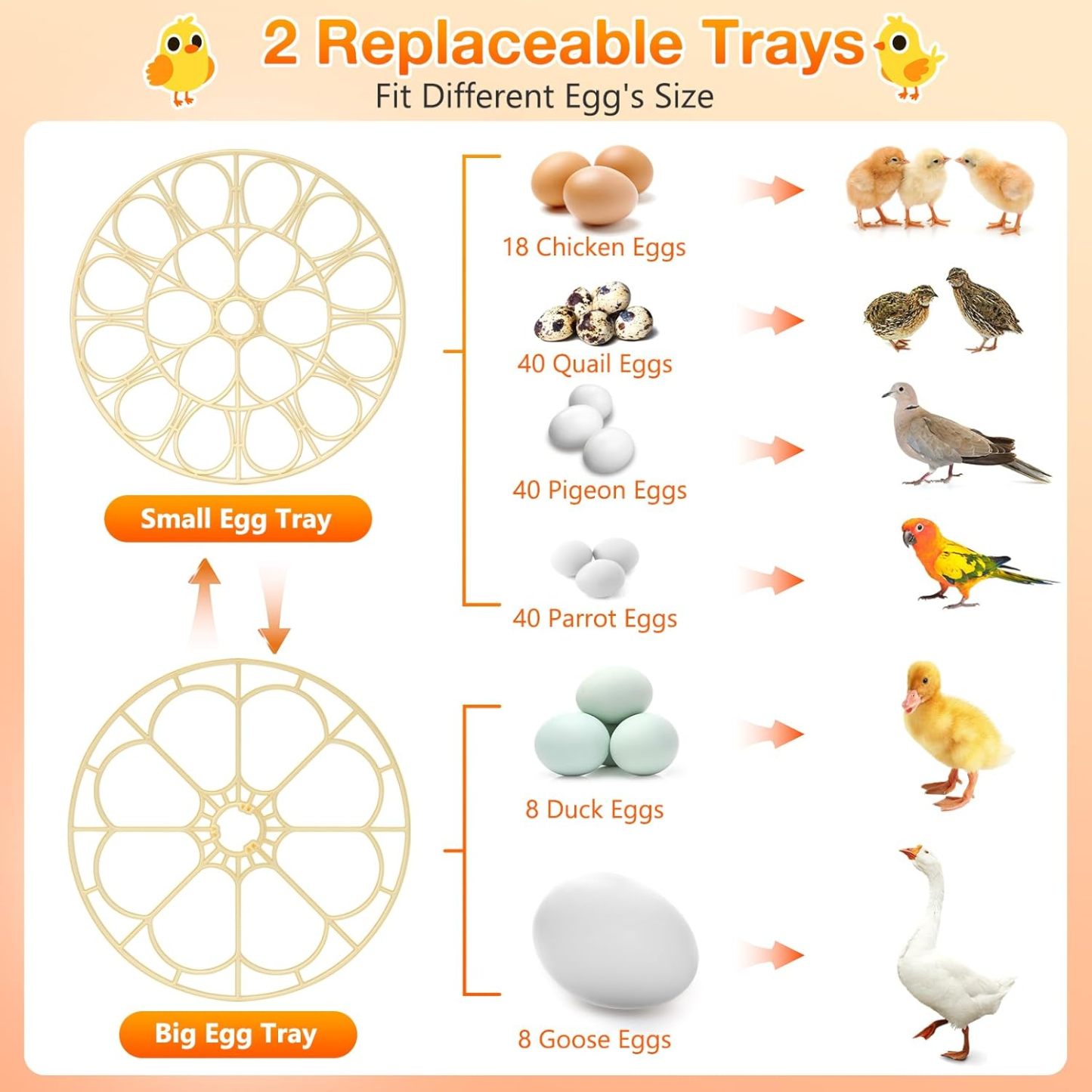 18 Egg Incubator with Automatic Egg Turning and Humidity Control, Incubators for Hatching Eggs, Chicken, Ducks, Goose, Pigeon, Quail, Parrot Incubator for Farm