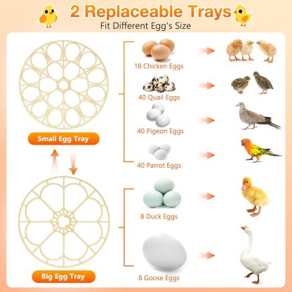 18 Egg Incubator with Automatic Egg Turning and Humidity Control, Incubators for Hatching Eggs, Chicken, Ducks, Goose, Pigeon, Quail, Parrot Incubator for Farm