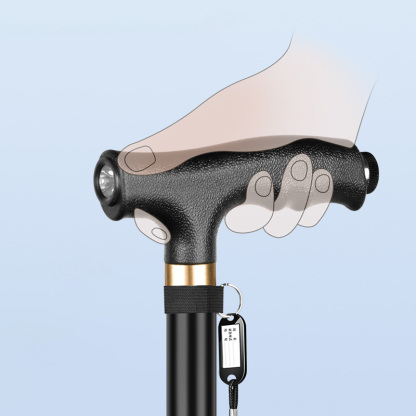 Smart Walking Cane