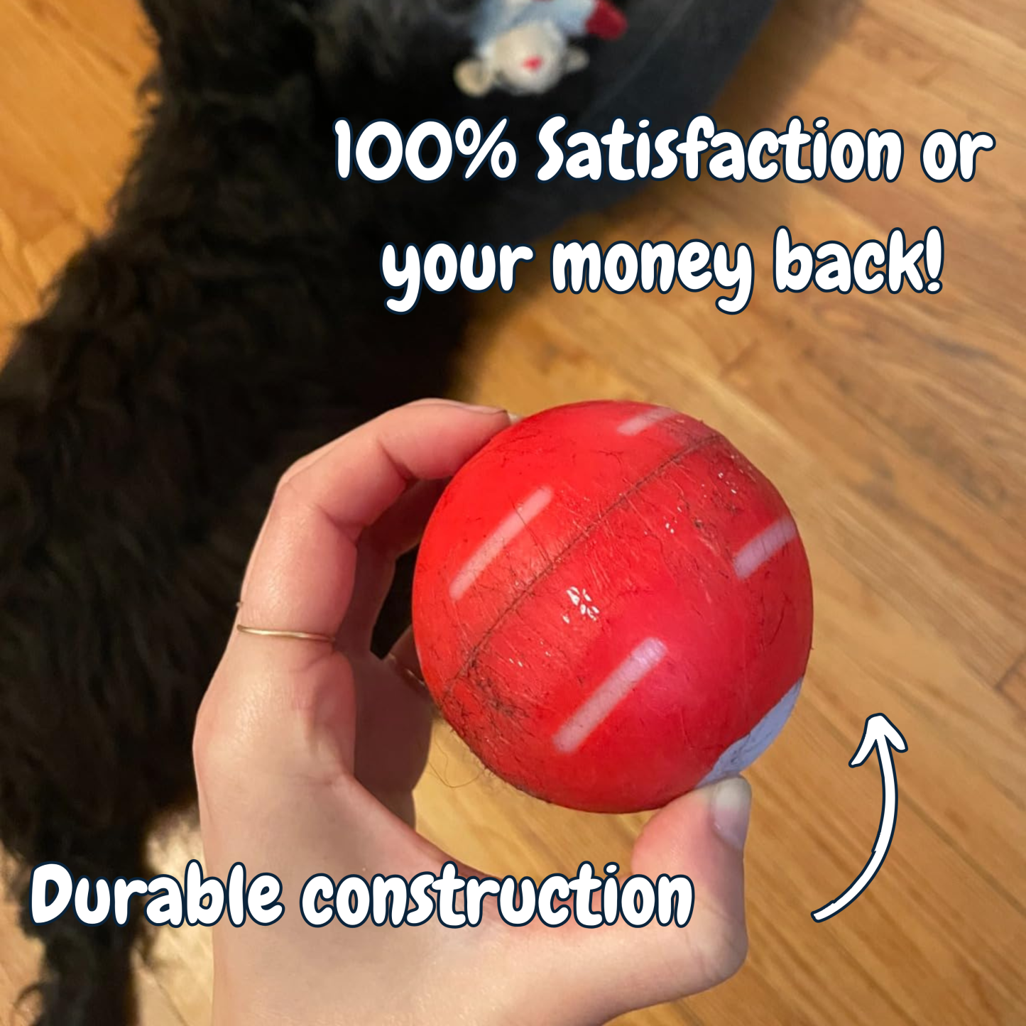 ✅Flash Sale -50% off - Pet Bounce Ball
