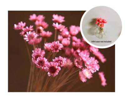 YEAR-END Promotion - 🔥Mini Ceramics Vase Fridge Magnet