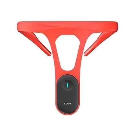 Smart Posture Training Device