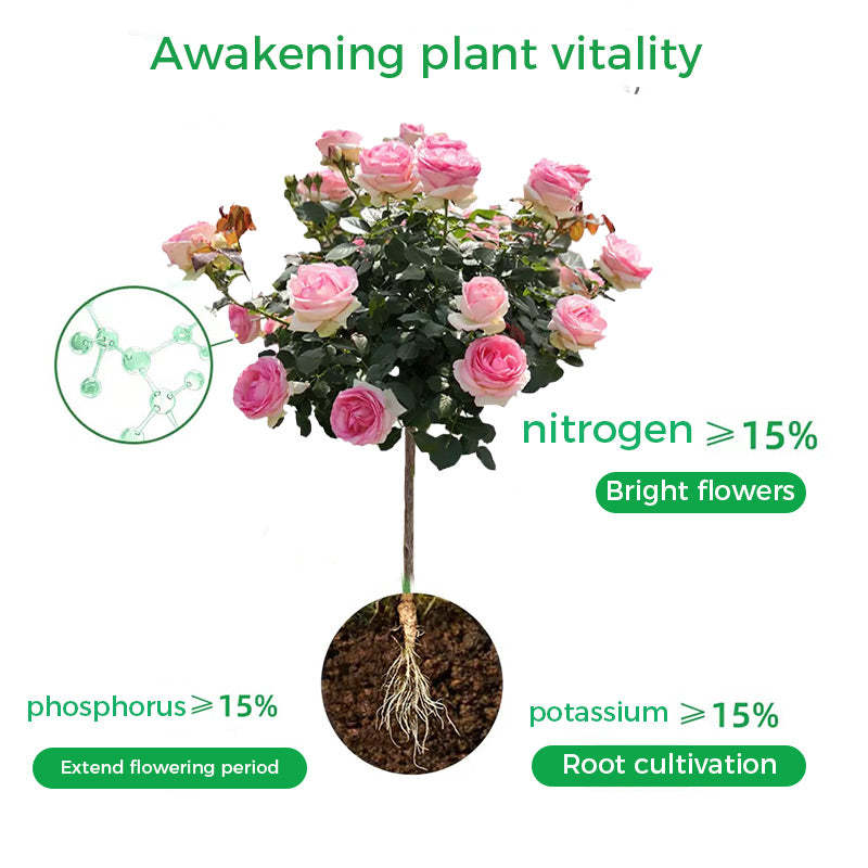 🔥Rapid Rooting And Flowering Powder
