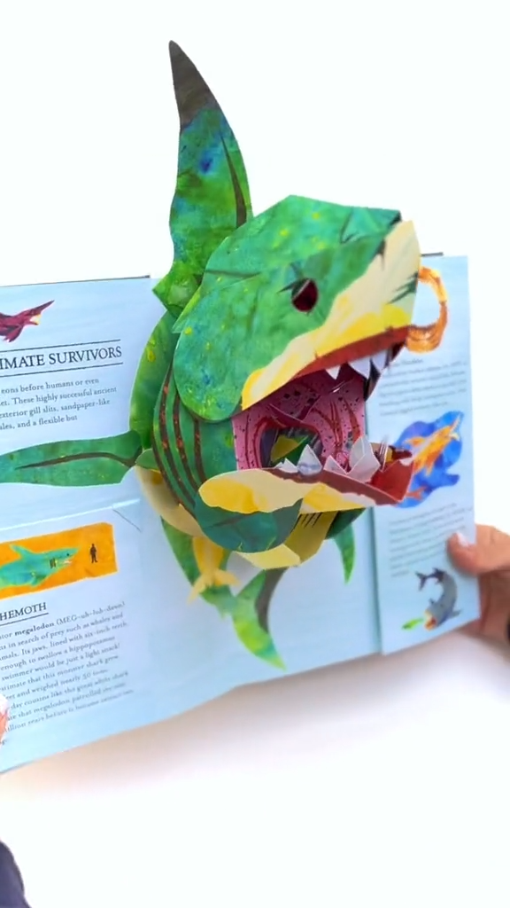 ⏰Historical Lowest Price: Save 49%-3D Prehistoric Encyclopaedia of Shark: The Ultimate Pop-Up📙HARDCOVER 