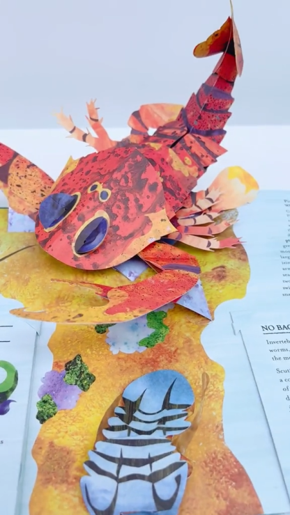 ⏰Historical Lowest Price: Save 49%-3D Prehistoric Encyclopaedia of Shark: The Ultimate Pop-Up📙HARDCOVER 