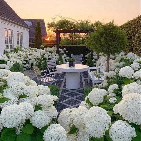 Outdoor Artificial Hydrangea Flowers💐(17cm