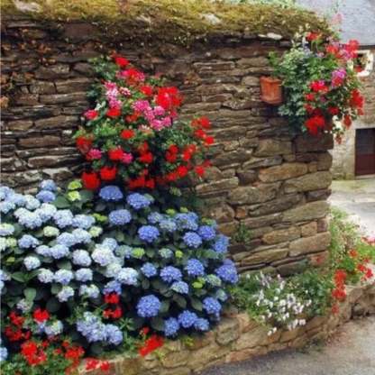 Outdoor Artificial Hydrangea Flowers💐(17cm