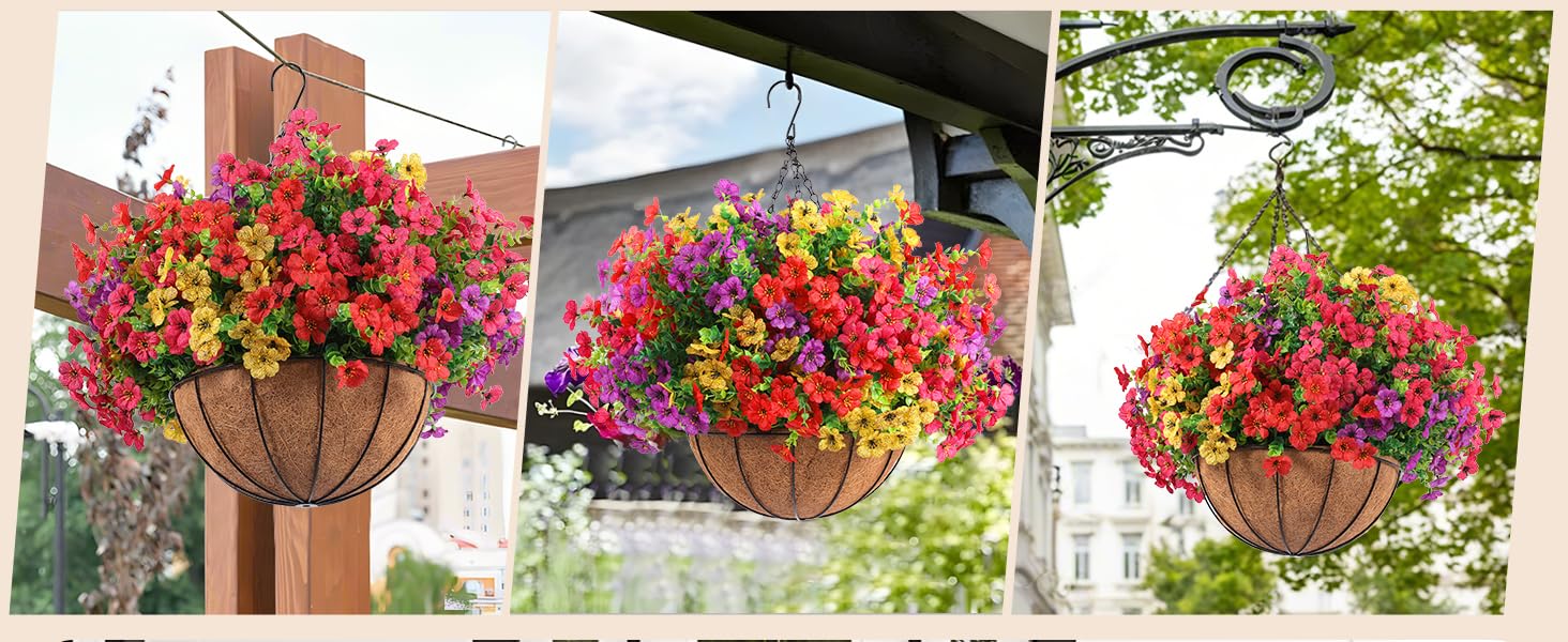 outdoor plants for garden