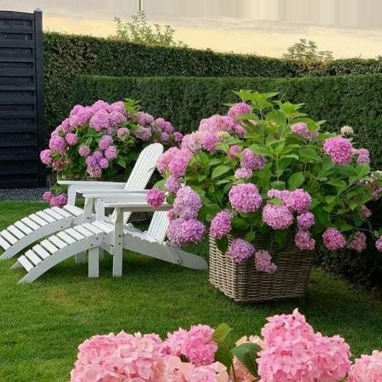 Outdoor Artificial Hydrangea Flowers💐(20cm)