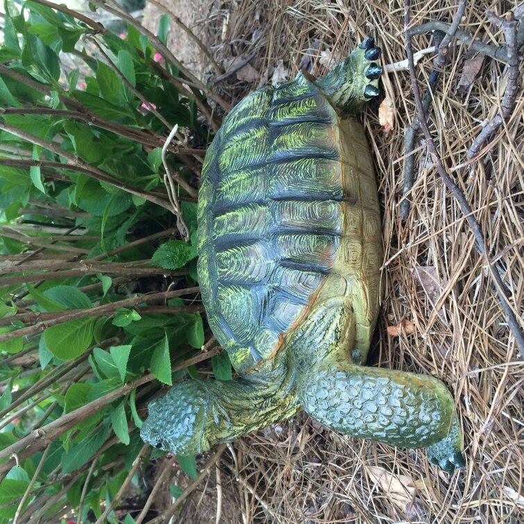 Call Of The Wild Turtle / Tortoise Garden Statue