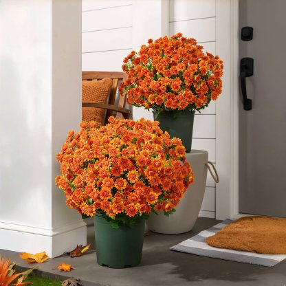 ⚡Artificial Outdoor Sunset Mums Flowers - UV resistant, Waterproof, Windproof