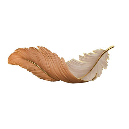 Luxury 3D Feather Shape Decor Wall Lamp with Remote Control, 4 Size