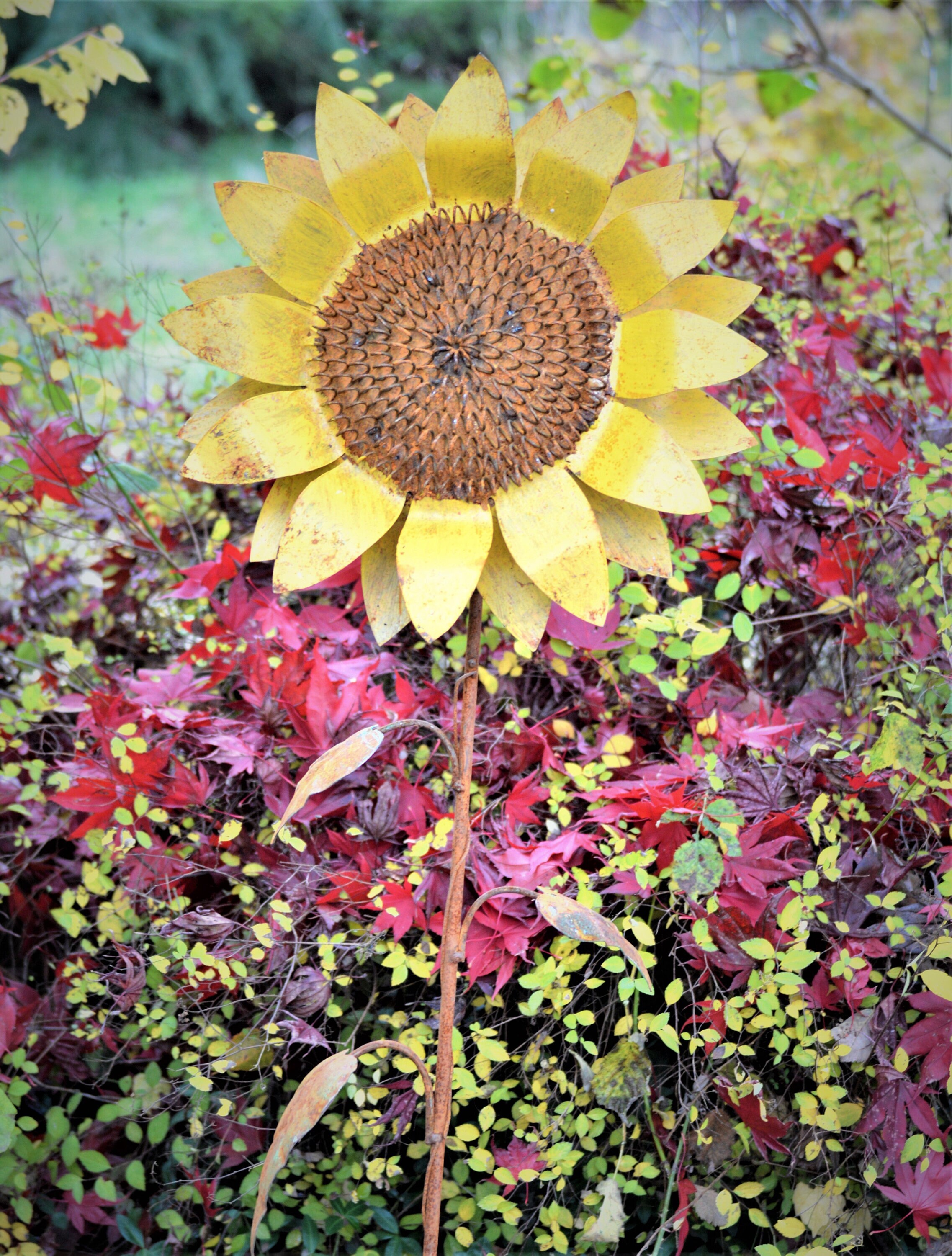 Sunflower Stake Small | Rusted Metal Yard Art | Garden Gifts | Metal Garden Art | Garden Bed Decor | Bird Art | Garden Decor | Garden Stake