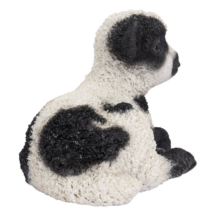 Baby Lamb Lying Down