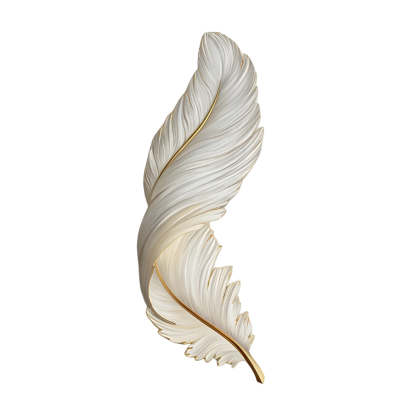 Luxury 3D Feather Shape Decor Wall Lamp with Remote Control, 4 Size