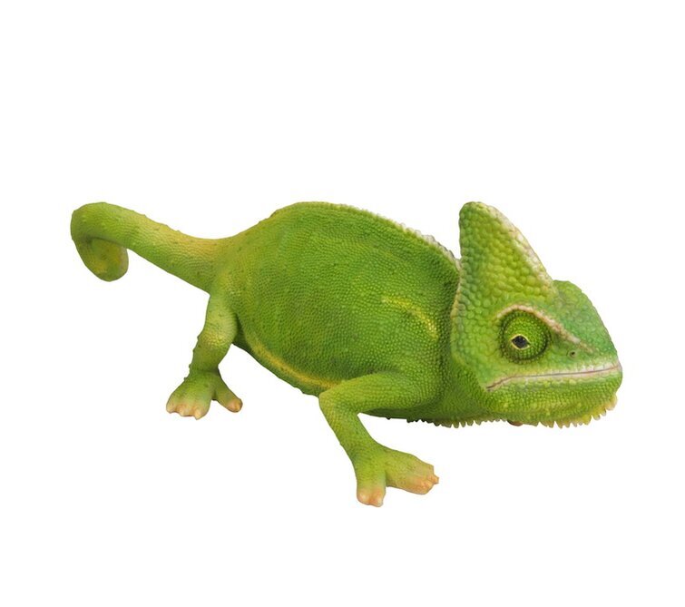 Chameleon Statue