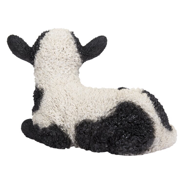 Baby Lamb Lying Down