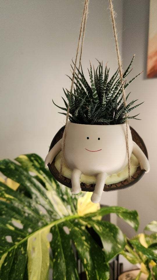 Swing Smile Face Hanging Flower Head Planters(BUY 1 GET 1 2PC)