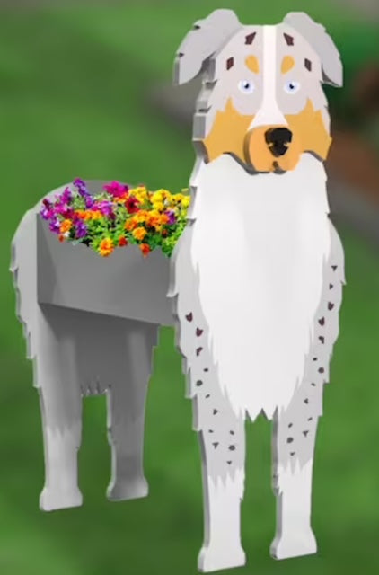 Australian Shepherd Planter Box decor - new style
