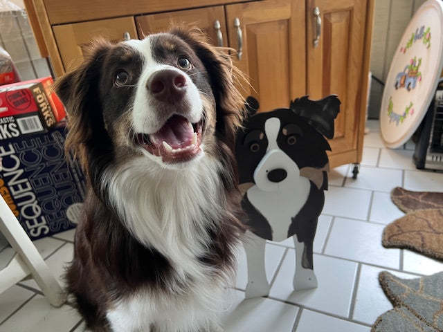 Australian Shepherd Dog Planter Box decor