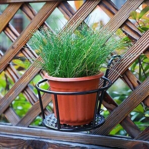 aldorian™-🌼Spring Hot Sale - Hanging flower stand (✨Buy more and save more, free shipping for five pieces✨)