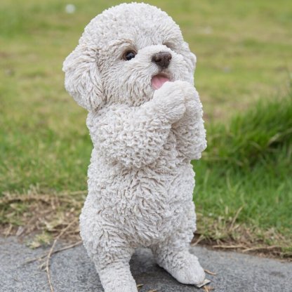 Dog-Poodle Puppy Playing