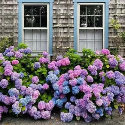 Outdoor Artificial Hydrangea Flowers💐(17cm