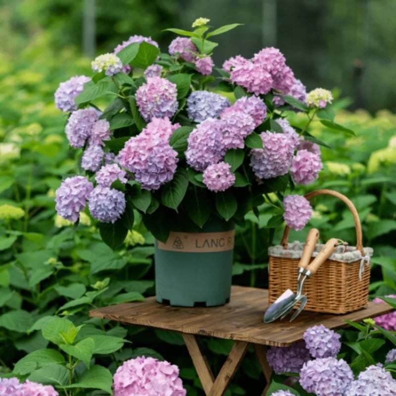 Outdoor Artificial Hydrangea Flowers💐(17cm