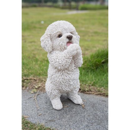 Dog-Poodle Puppy Playing