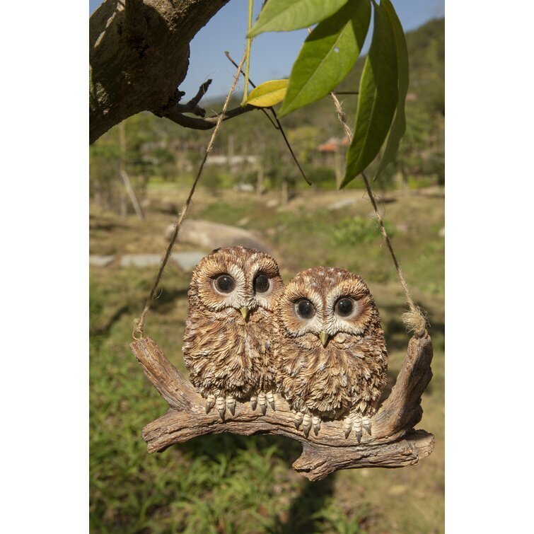 Hanging Baby Owlets on a Branch